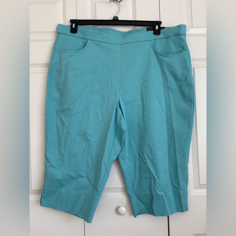 Alfred Dunner Blue Aqua Capri Pull on Size 22W Summer Pants Pockets Tummy Contro